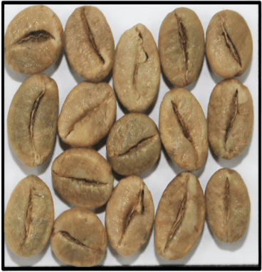Unwashed Robusta Coffee Beans — LIT COFFEE India export