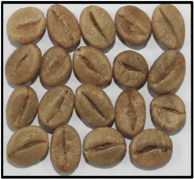 Robusta Cherry A — Indian green coffee beans for export