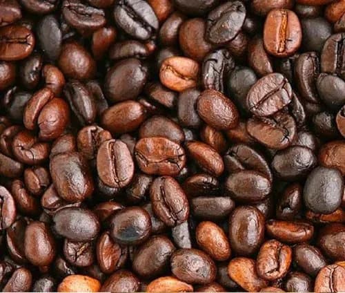 Roasted Robusta Parchment Indian coffee exporter bulk supplier