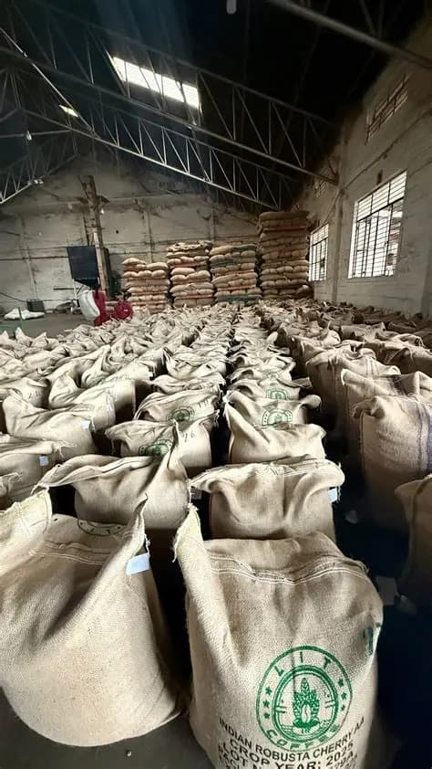 Jute export coffee bags for UAE humidity protection