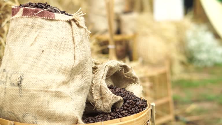 Indian green coffee beans for export to Turkey