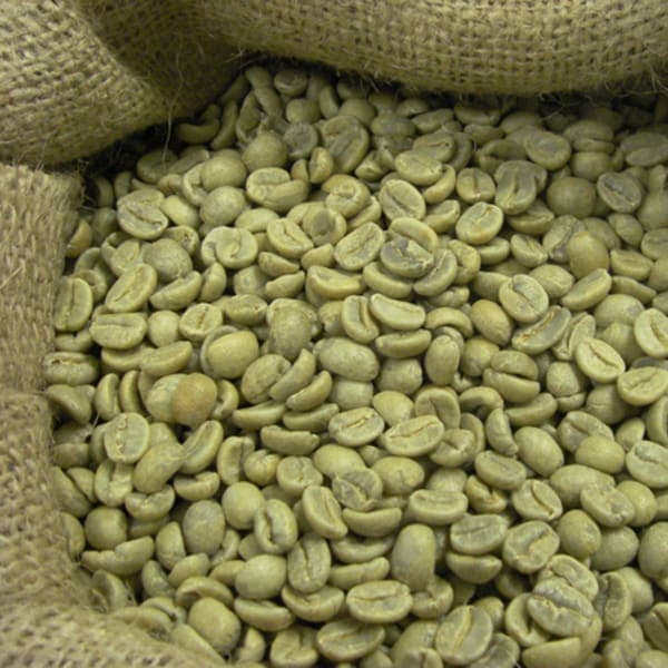 Indian Green Coffee Beans