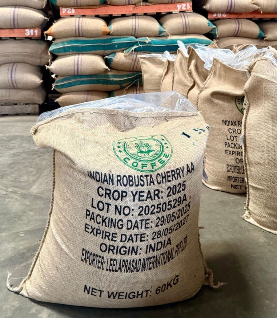 Lit Coffee Estate in Karnataka