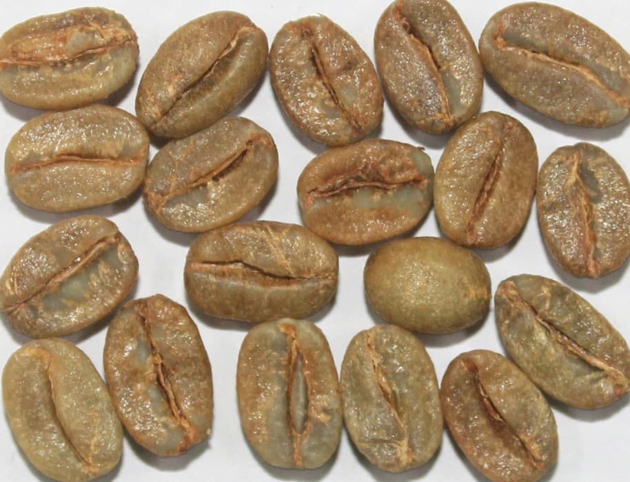 Arabica Cherry Bulk Indian coffee exporter bulk supplier