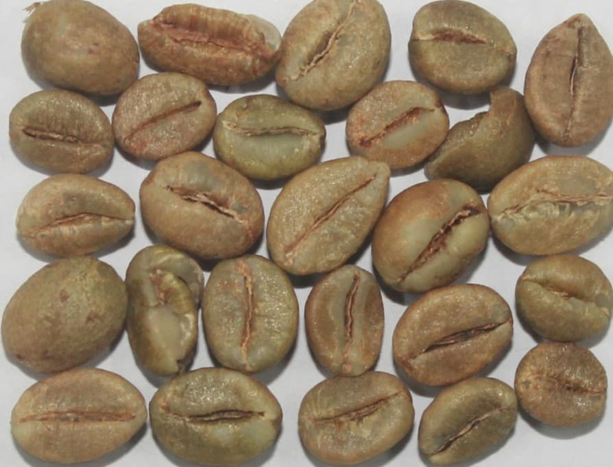 Robusta Cherry C — Indian green coffee beans for export