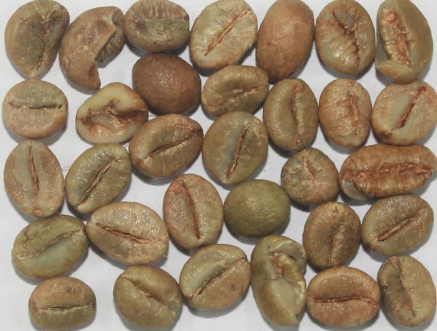 Robusta Cherry Bulk — Indian green coffee beans for export