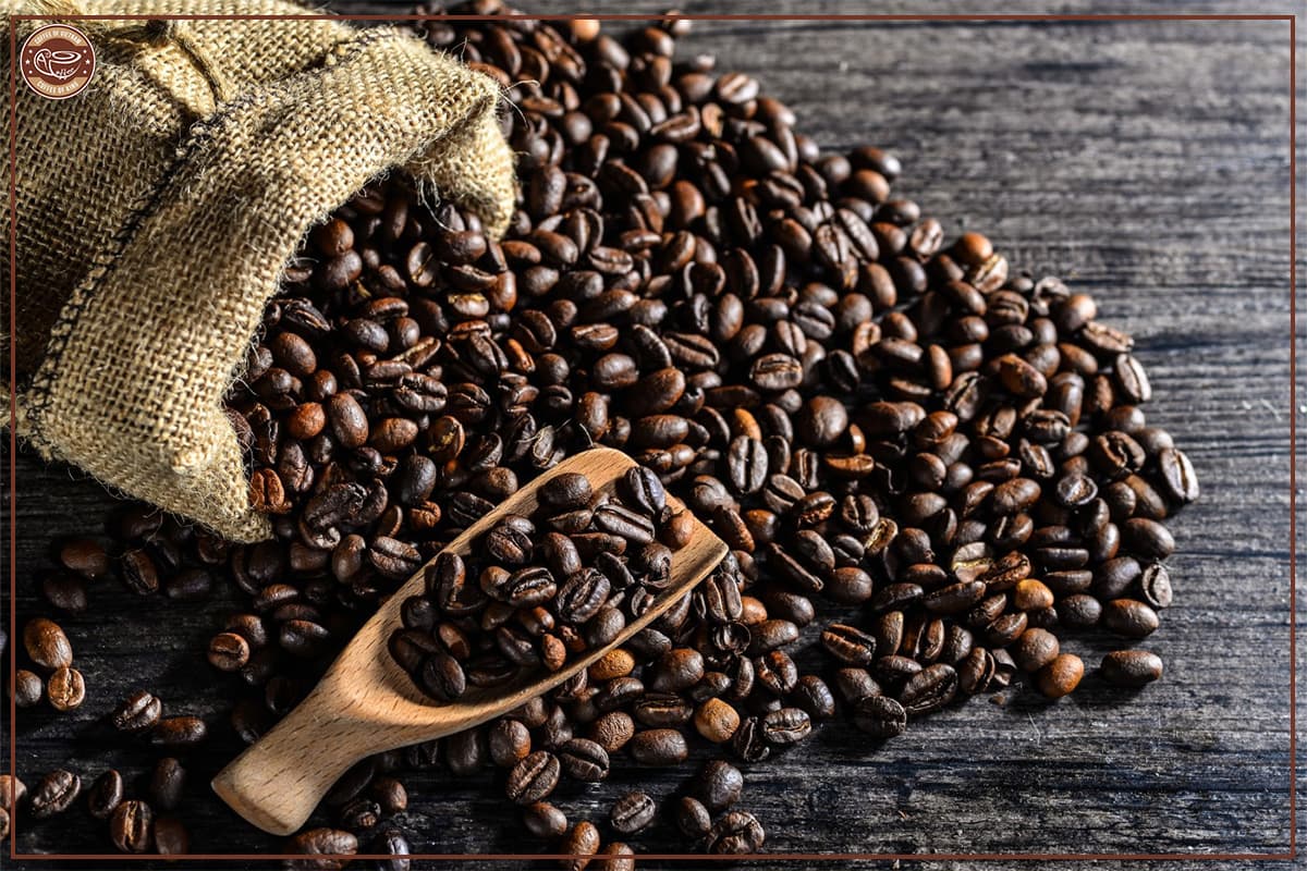 Indian green coffee beans for export to Saudi Arabia