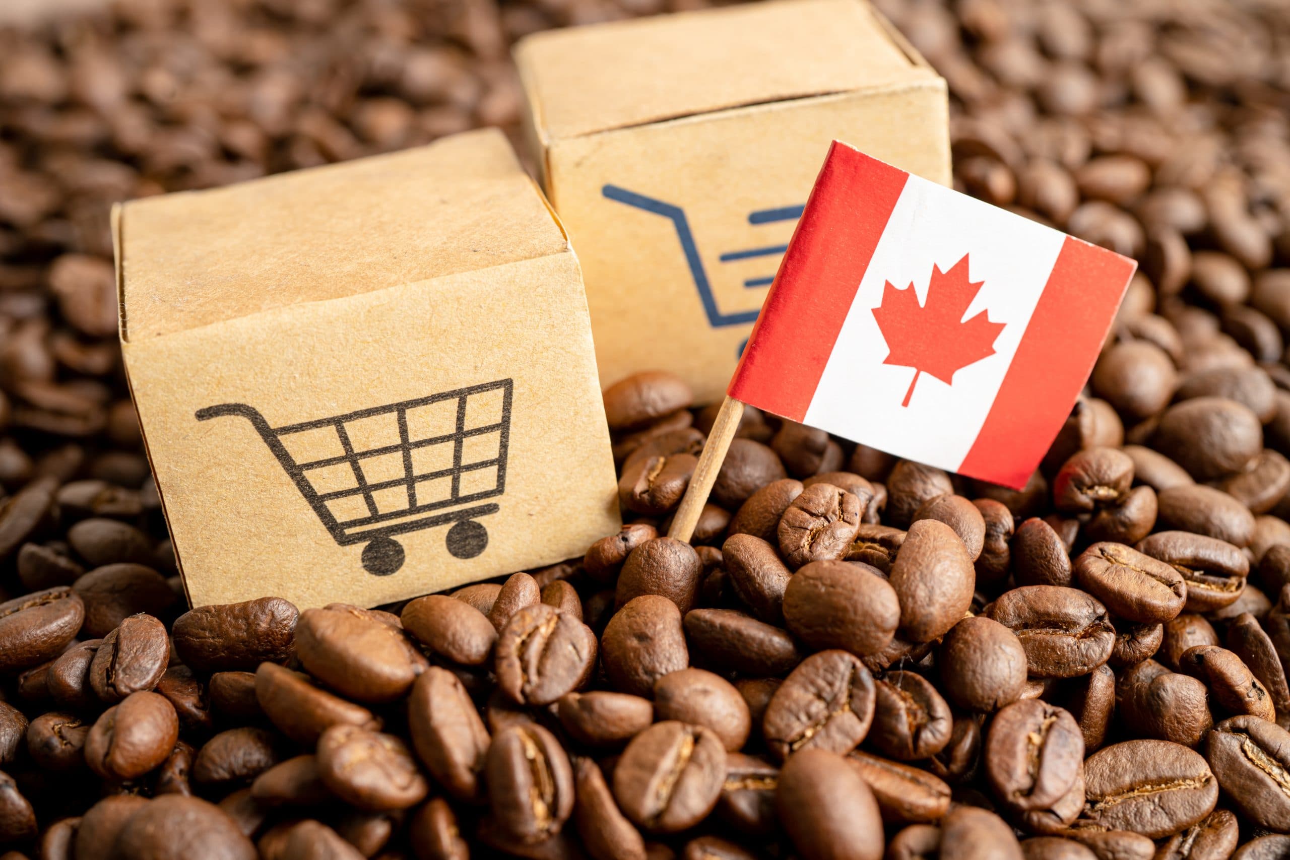 Indian green coffee beans for export to Canada