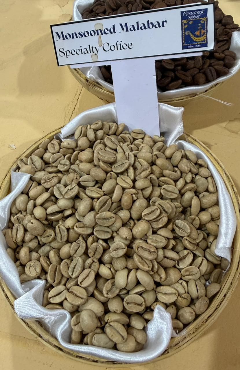 Monsooned Malabar Coffee — Indian green coffee beans for export