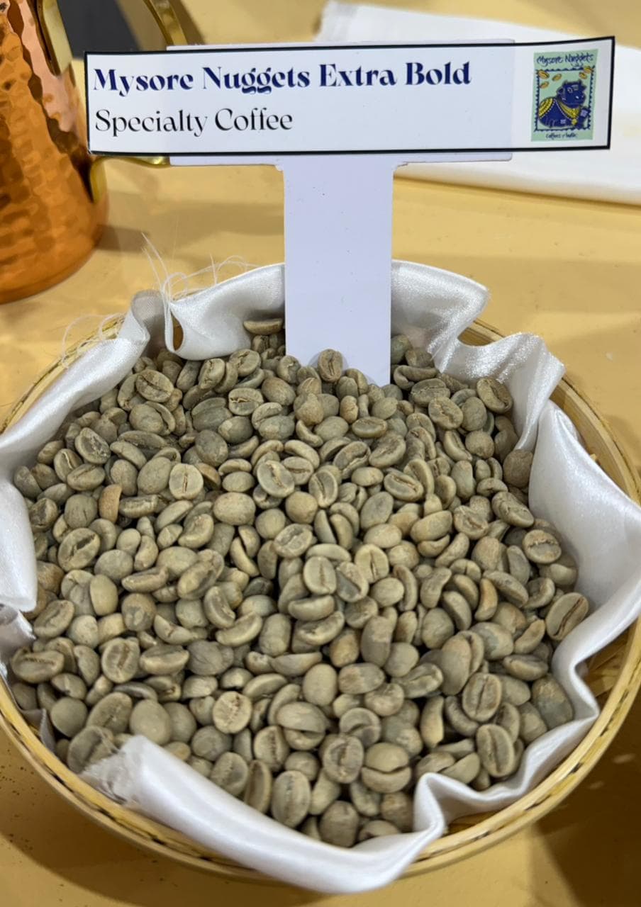 Mysore Nuggets Extra Bold Coffee Beans — Indian green coffee beans for export