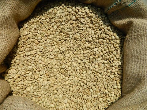 Indian specialty coffee varieties including Monsoon Malabar and Mysore Nuggets for export